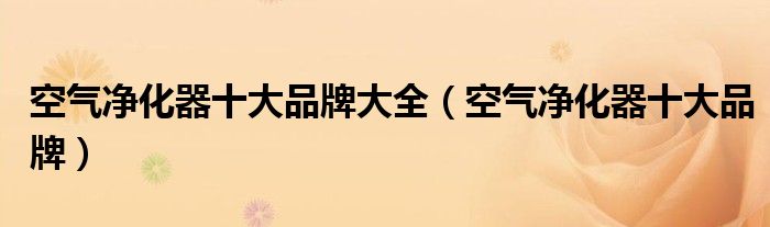 博鱼·体育官方网站登录入口空气净化器十大品牌大全（空气净化器十大品牌）(图1)