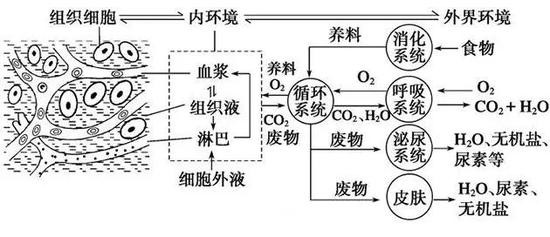 博鱼·体育饮用水不安全！你以为用了净水器就能高枕无忧吗？(图5)