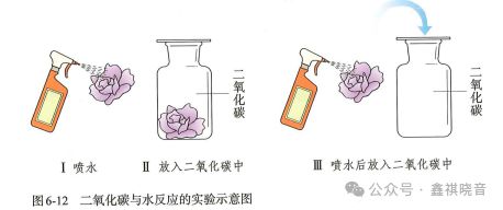 博鱼·体育官方网站登录入口实验激智实践育人——24年初中化学新教材新在哪里（二）(图6)